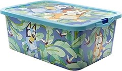 Guía para seleccionar la caja de plástico perfecta para tus hijos